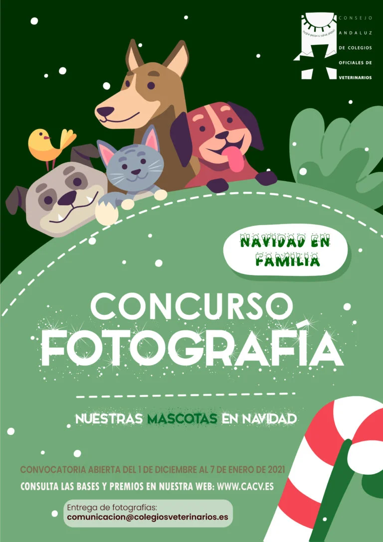 concurso-fotografico-navideno