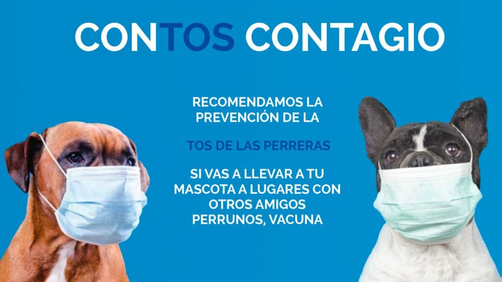 tos-perreras-campana-vacunacion-2021-clinica-veterinaria-alcazaba