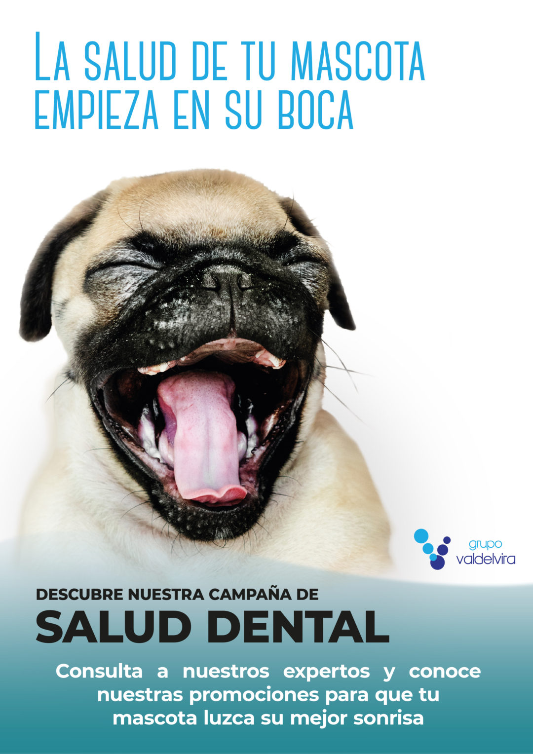 Campaña Dental