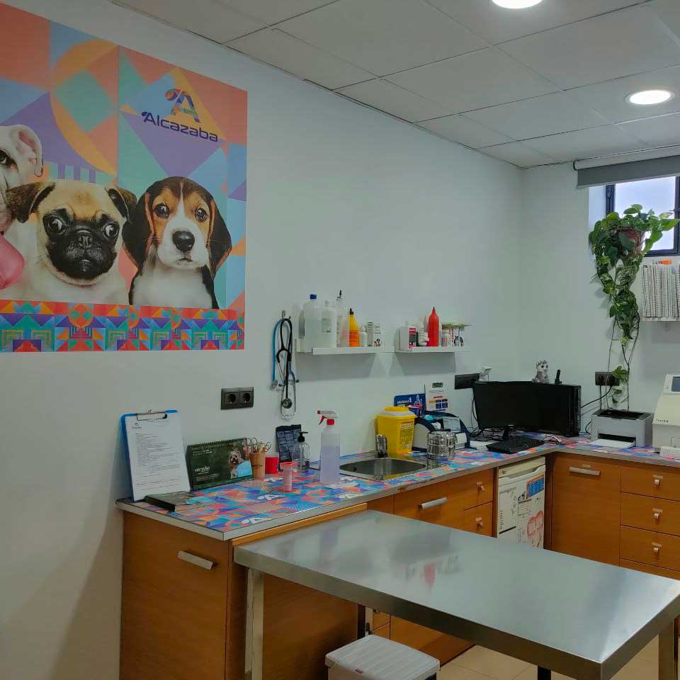 servicios-clinica-veterinaria-medicina-preventiva