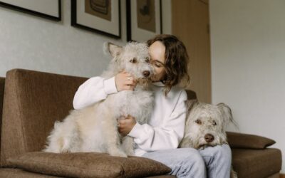 Terapias asistidas con perros
