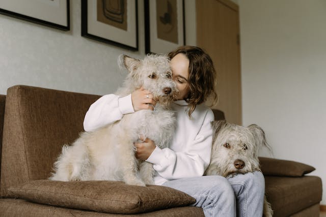 Terapias asistidas con perros
