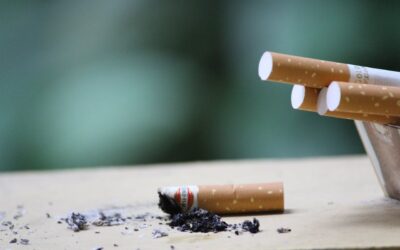 Humo del tabaco en perros