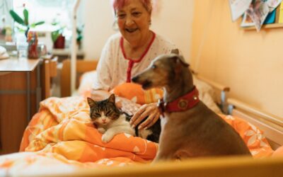 Beneficios de las mascotas en las personas con demencia